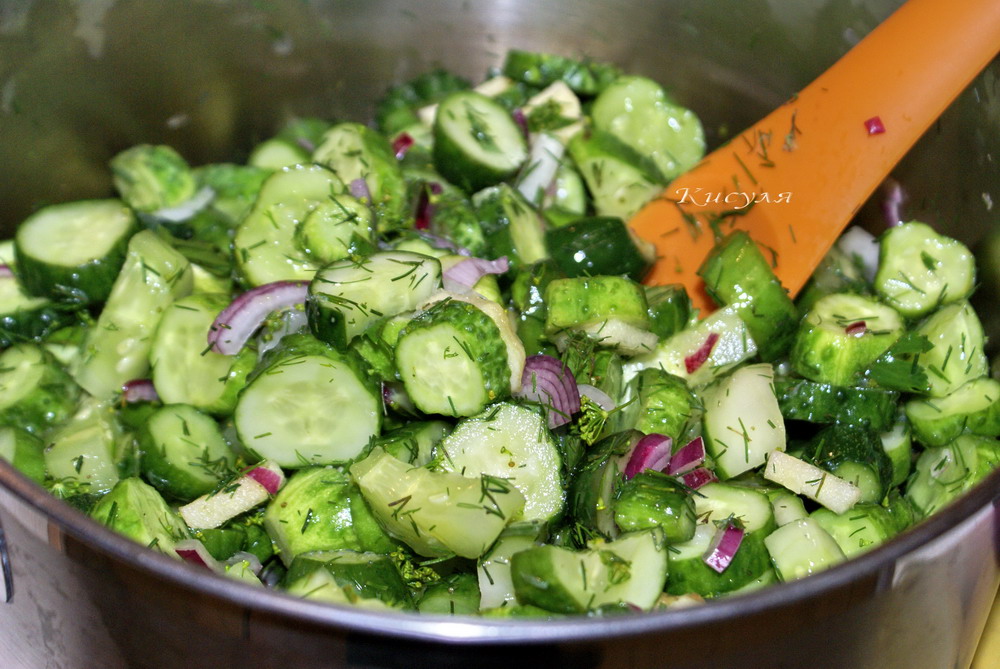Рецепт салата из огурцов с маслом. Салат с огурцами. Салат из огурцов и зелени. Салат огурцы с зеленью. Салат из огурца и зелени.